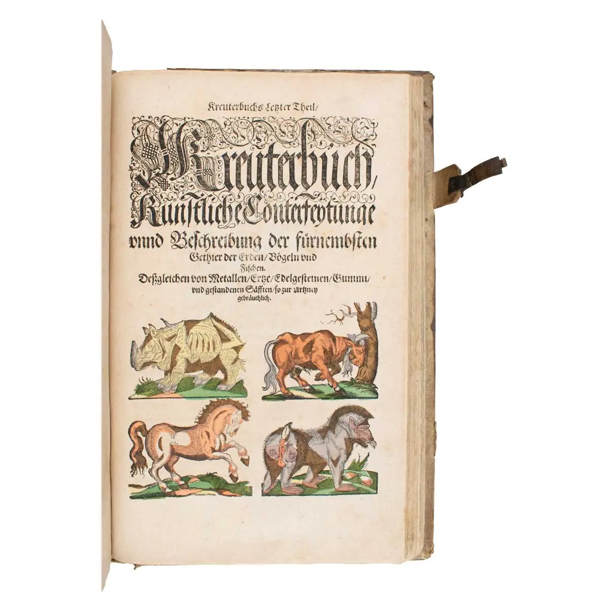 Kreuterbuch. Jetzo auffs fleissigst zum letzten mal von neuwem ersehen, und durchaus an vielen Orthen gebessert, auch weit uber vorige.  (4)