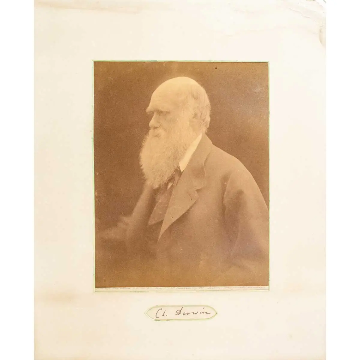 Portrait photograph of Charles Darwin