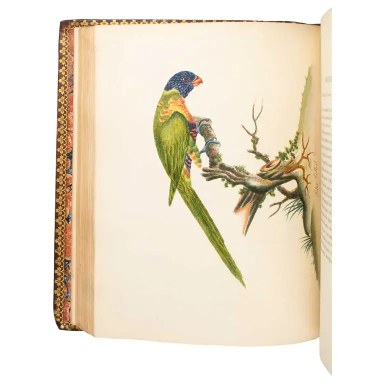 Portraits of Rare and Curious Birds, with their Descriptions, from the Menageryof Osterley Park.