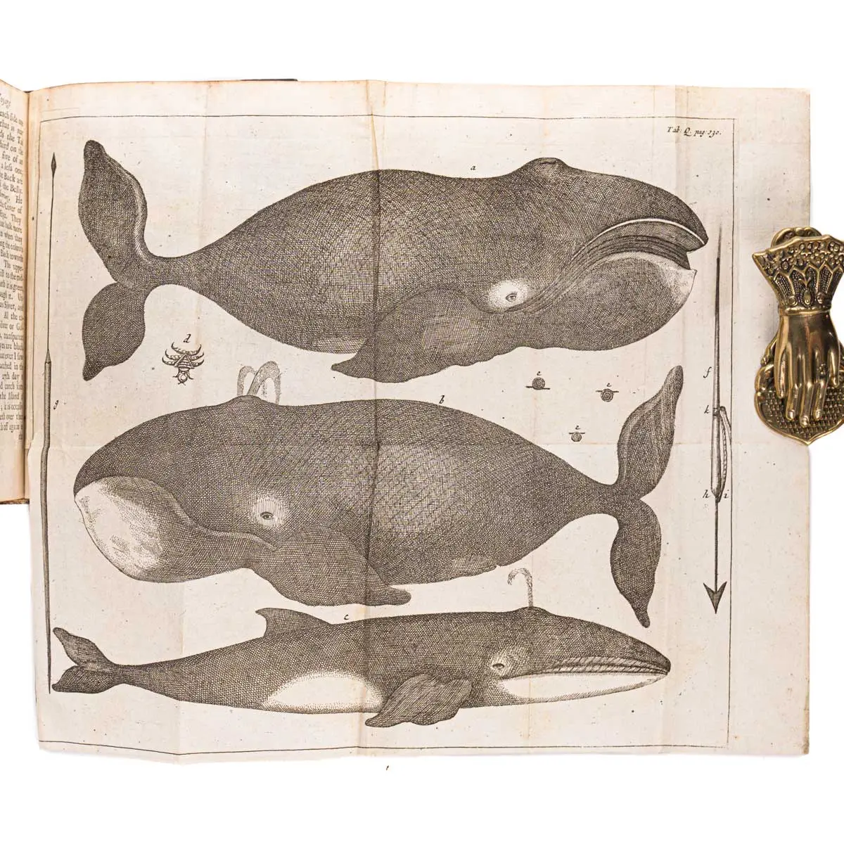 An Account of Several Late Voyages and Discoveries: I. Sir John Narborough’s Voyage to the South Sea… II. Captain J. Tasman’s Discoveries on the Coast of the South Terra Incognita. III (3)