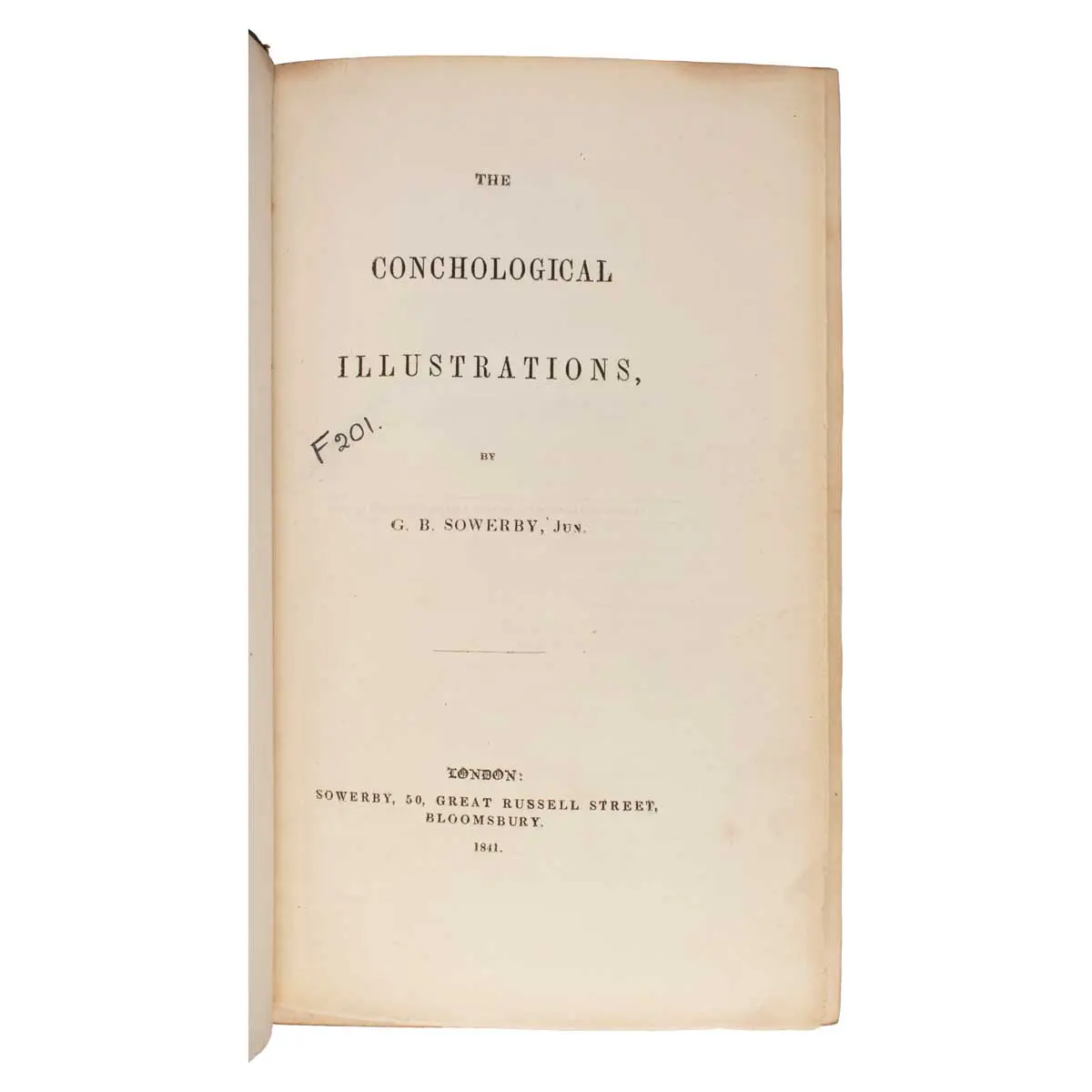 The Conchological Illustrations (2)