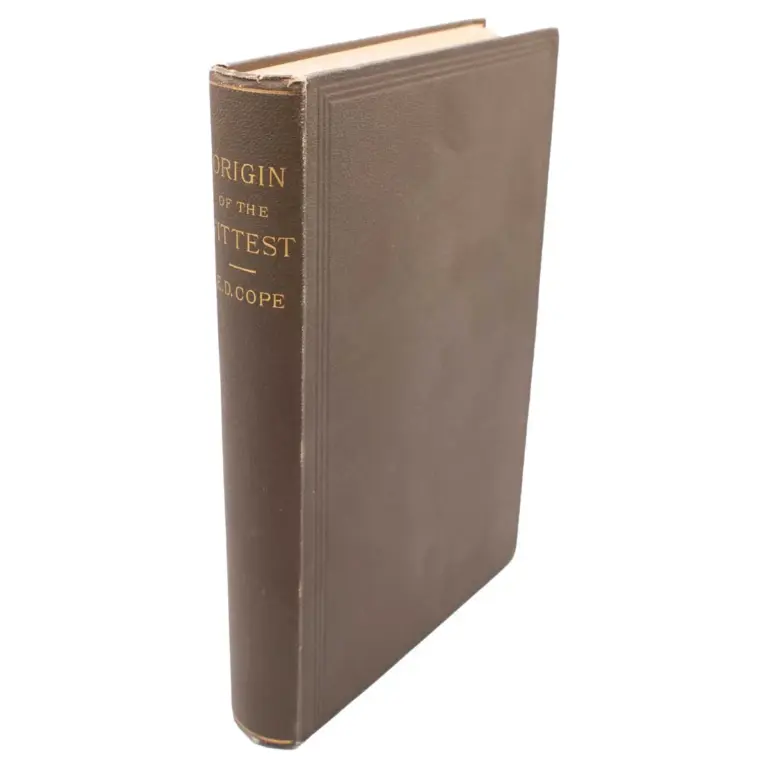 The Origin of the Fittest: Essays on Evolution