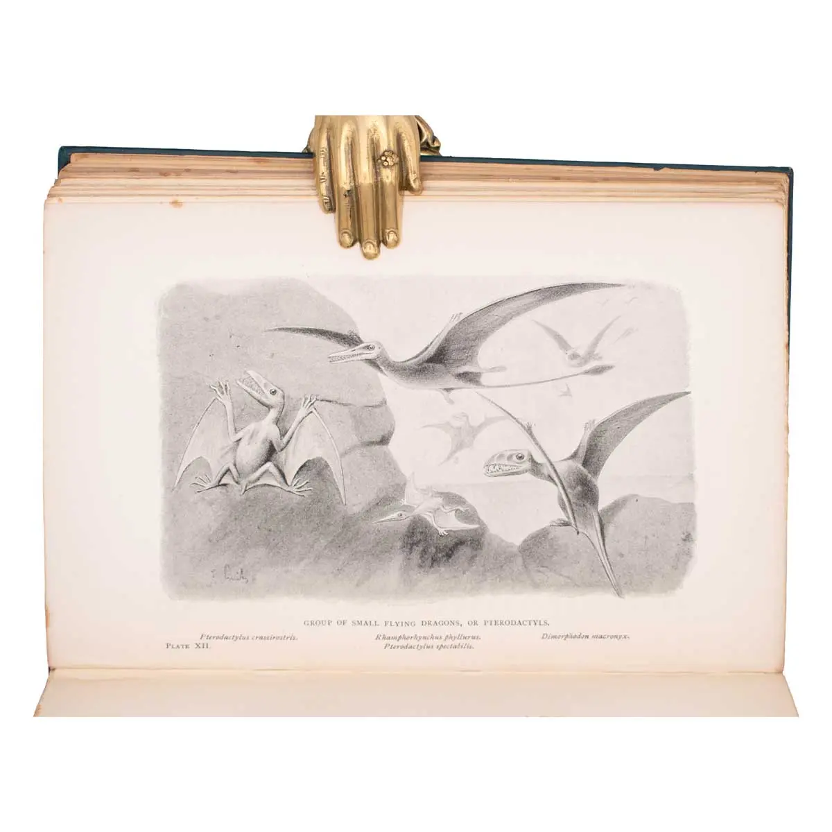 Extinct Monsters. A Popular Account of Some of the Larger Forms of Ancient Animal Life (3)