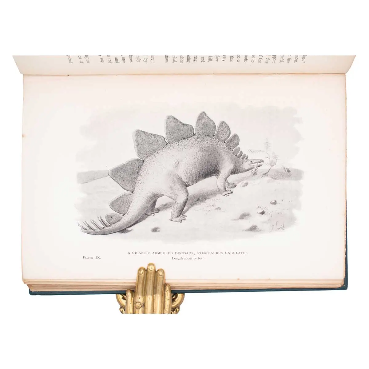 Extinct Monsters. A Popular Account of Some of the Larger Forms of Ancient Animal Life (2)