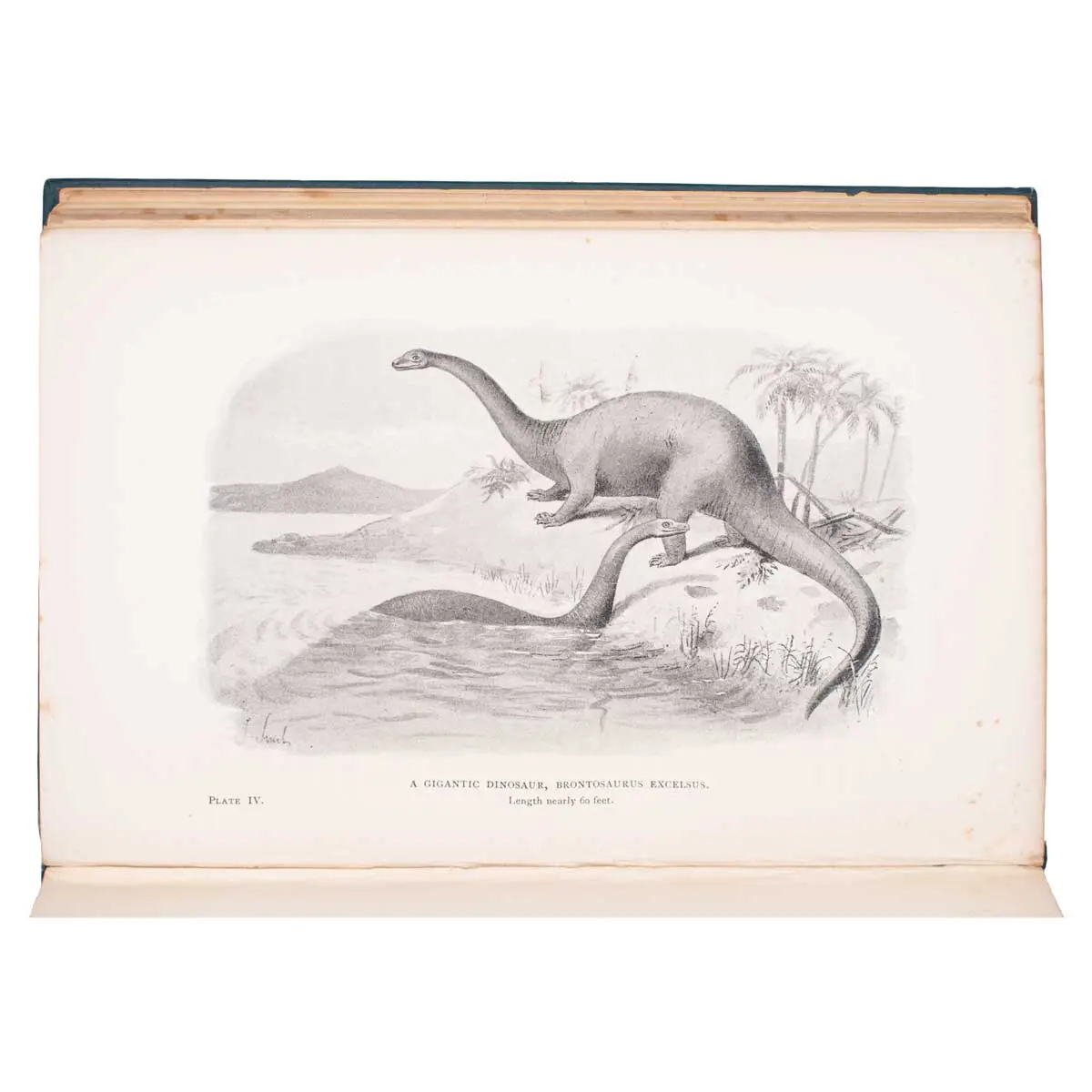 Extinct Monsters. A Popular Account of Some of the Larger Forms of Ancient Animal Life (5)