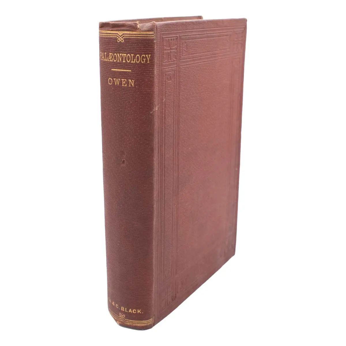 Palæontology or A Systematic Summary of Extinct Animals and Their Geological Relations (3)
