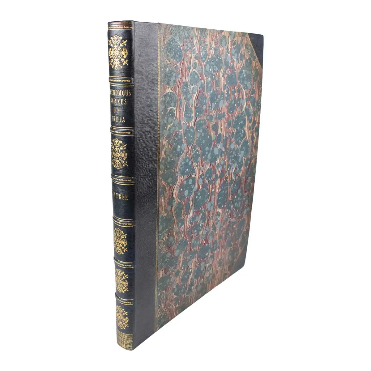 The Thanatophidia of India. Being a Description of the Venomous Snakes of the Indian Peninsula with an Account of the Influence of their Poison on Life and a Series of Experiments (2)