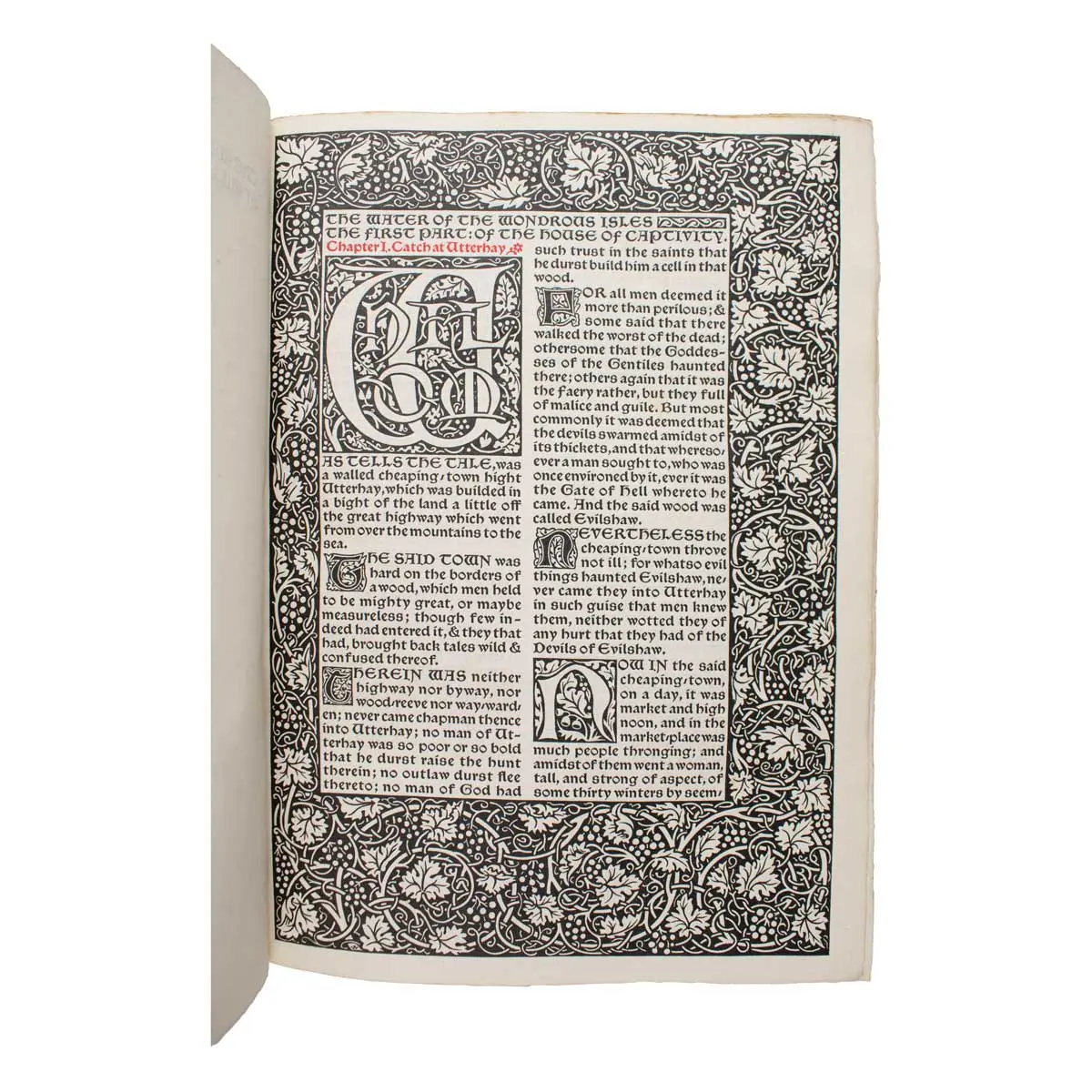 The Water of the Wondrous Isles by William Morris.