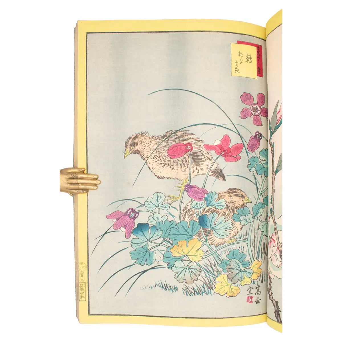 A Very Fine Album of Fifty Kacho-E (Bird & Flower Prints) (3)