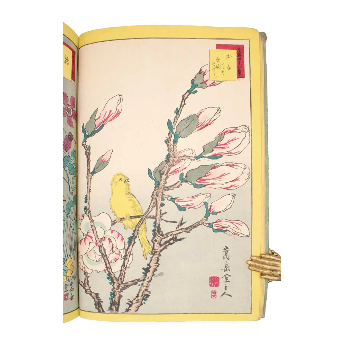 A Very Fine Album of Fifty Kacho-E (Bird & Flower Prints) (4)