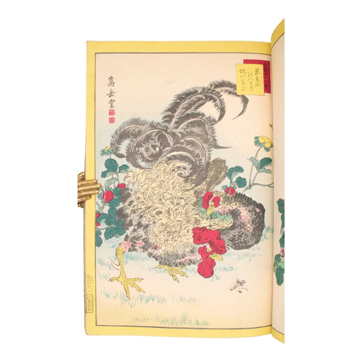 A Very Fine Album of Fifty Kacho-E (Bird & Flower Prints) (6)
