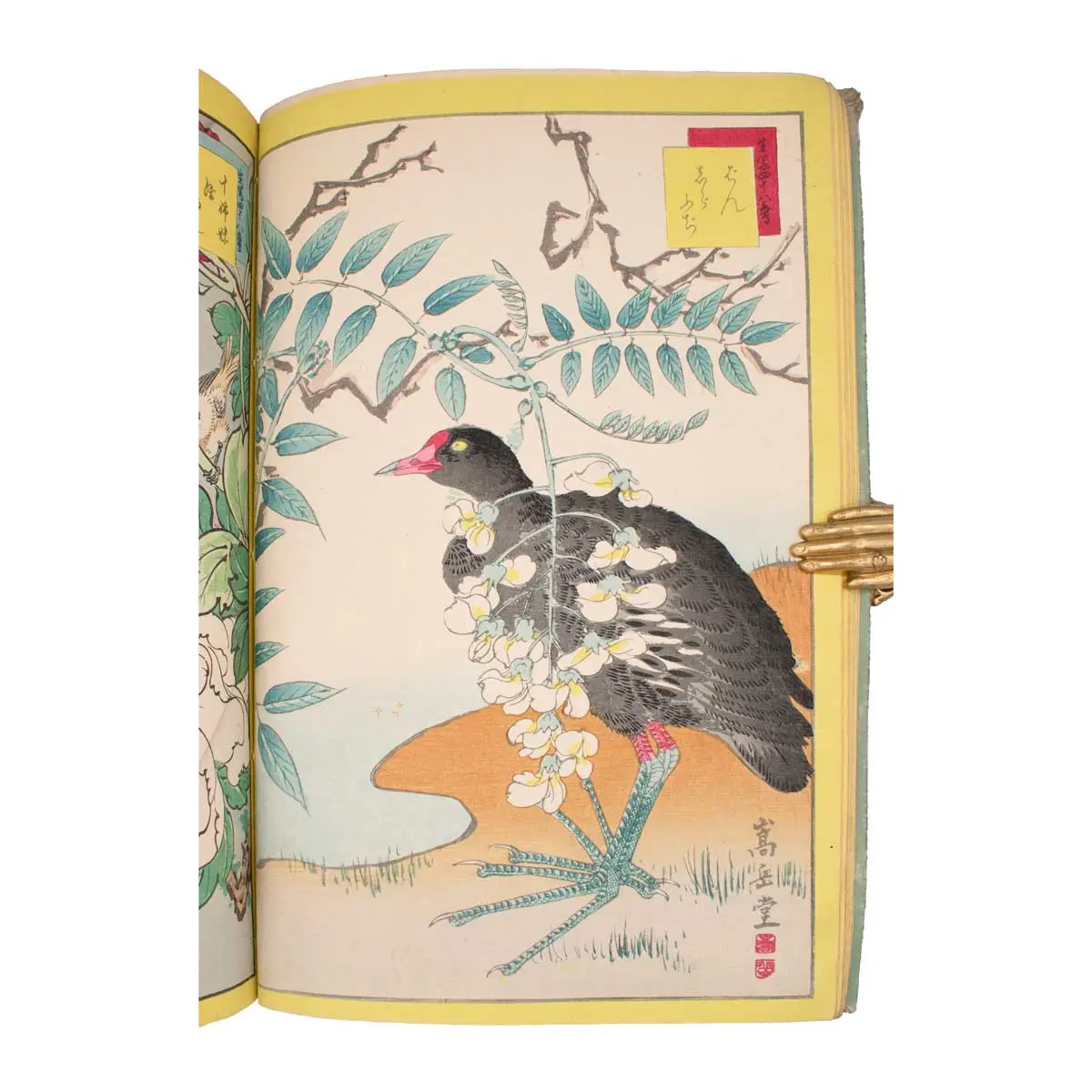 A Very Fine Album of Fifty Kacho-E (Bird & Flower Prints) (8)