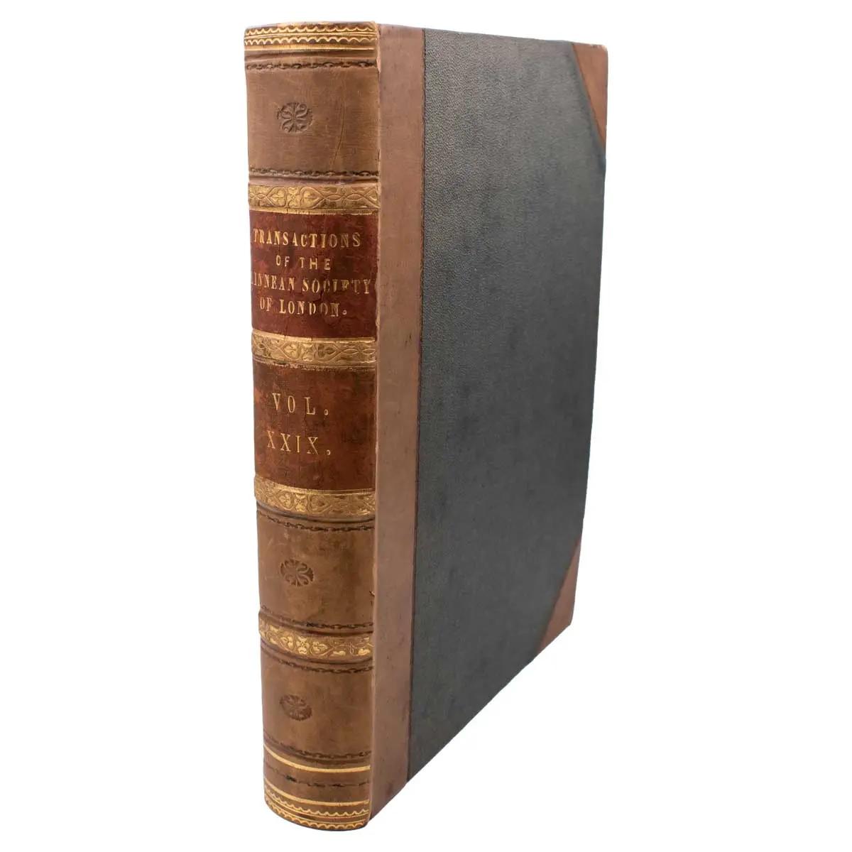 Botany of the Speke and Grant Expedition. An Enumeration of the Plants Collected during the Journey of the Late Captain J.H. Speke and Captain (Now Lieut-Col.) J.A. Grant from Zanzibar to Egypt (5)