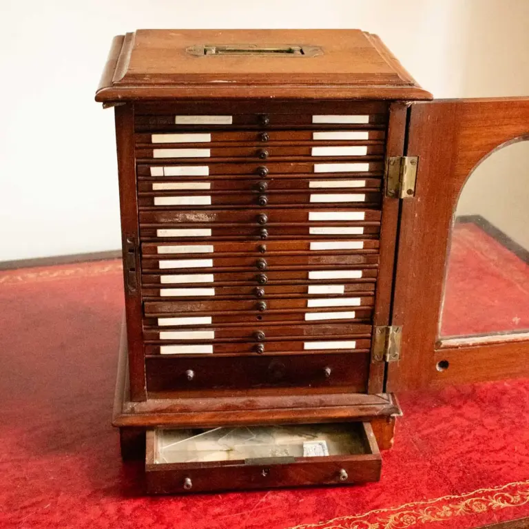 A French Polished Specimens Cabinet with Brass Handle Engraved ALFRED RUSSEL WALLACE No.3