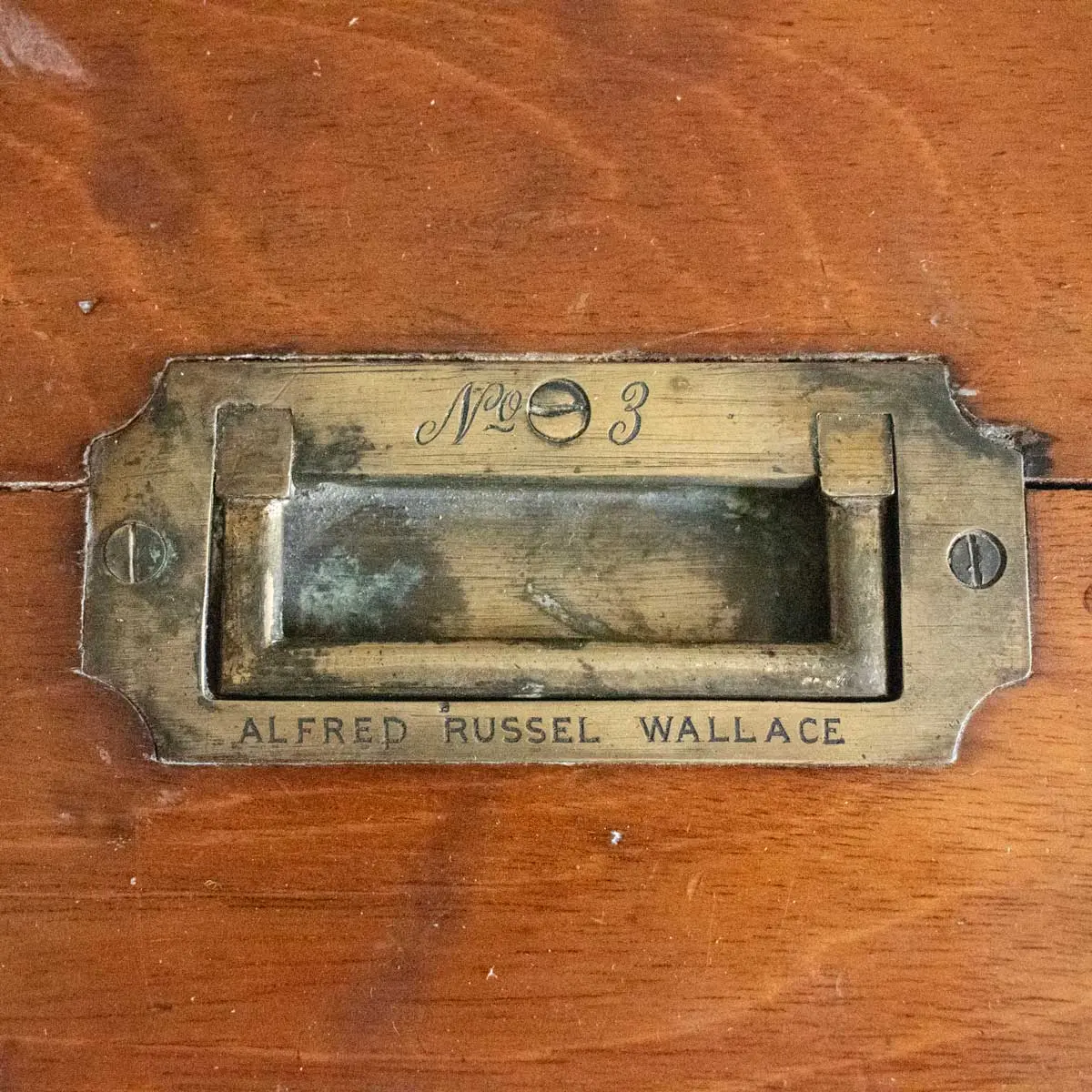 A French Polished Specimens Cabinet with Brass Handle Engraved ALFRED RUSSEL WALLACE No.3 (5)