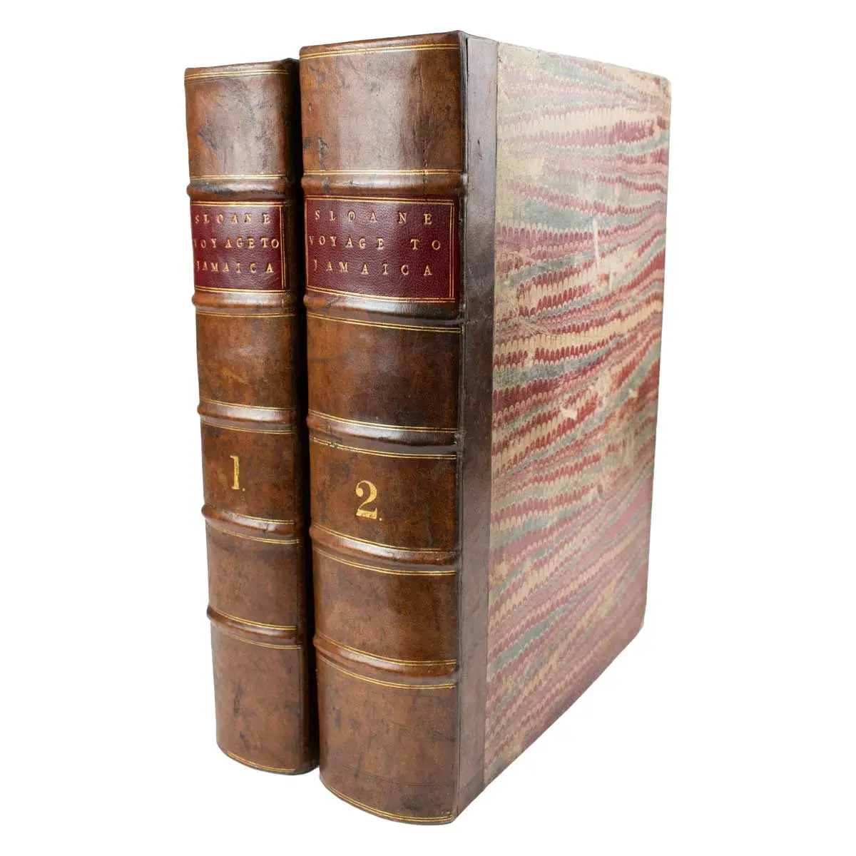 A Voyage to the Islands Madera, Barbados, Nieves, S. Christophers and Jamaica, with the natural history … of the last of those islands (5)