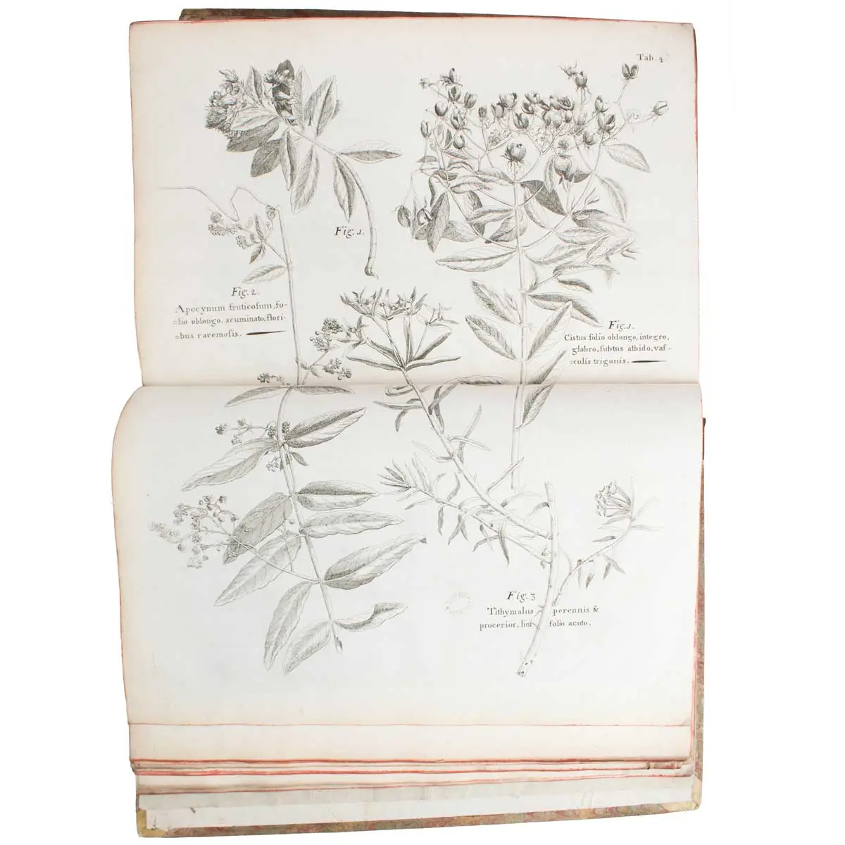 A Voyage to the Islands Madera, Barbados, Nieves, S. Christophers and Jamaica, with the natural history … of the last of those islands (4)