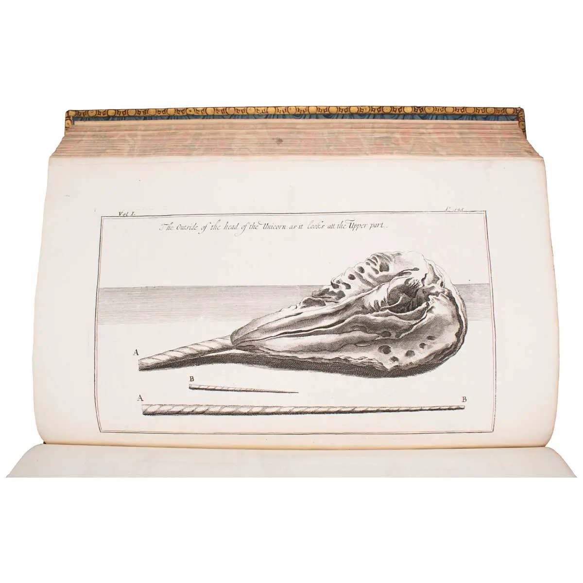 A Collection of Voyages and Travels, Some Now First Printed from Original Manuscripts, Others Now First Published in English (5)