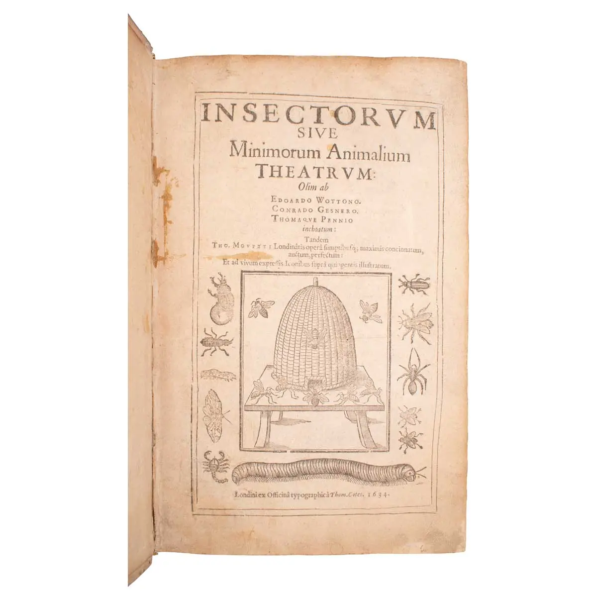 Insectorum sive minimorum animalium theatrum (2)
