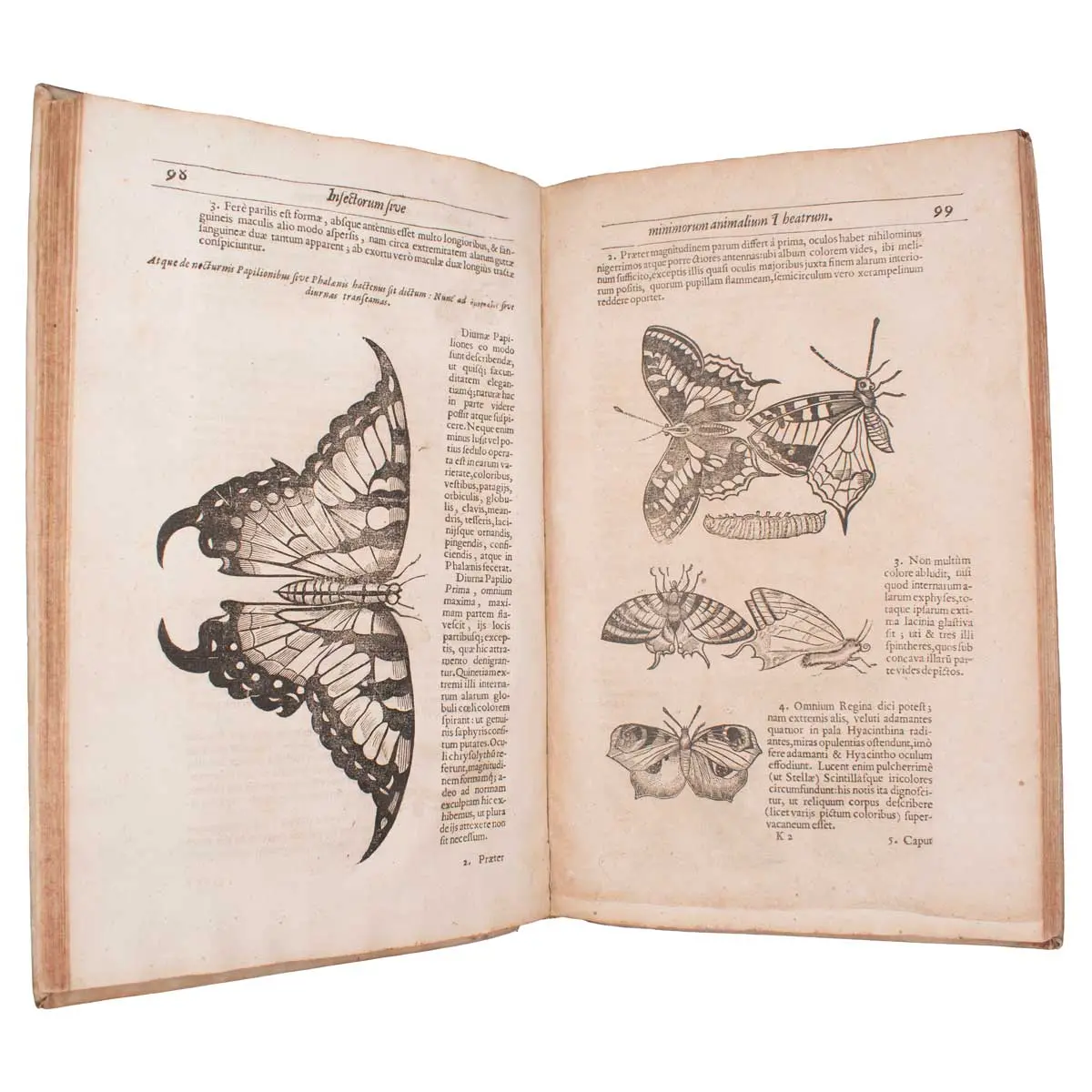 Insectorum sive minimorum animalium theatrum (3)