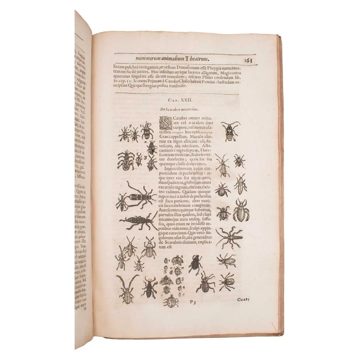 Insectorum sive minimorum animalium theatrum (4)