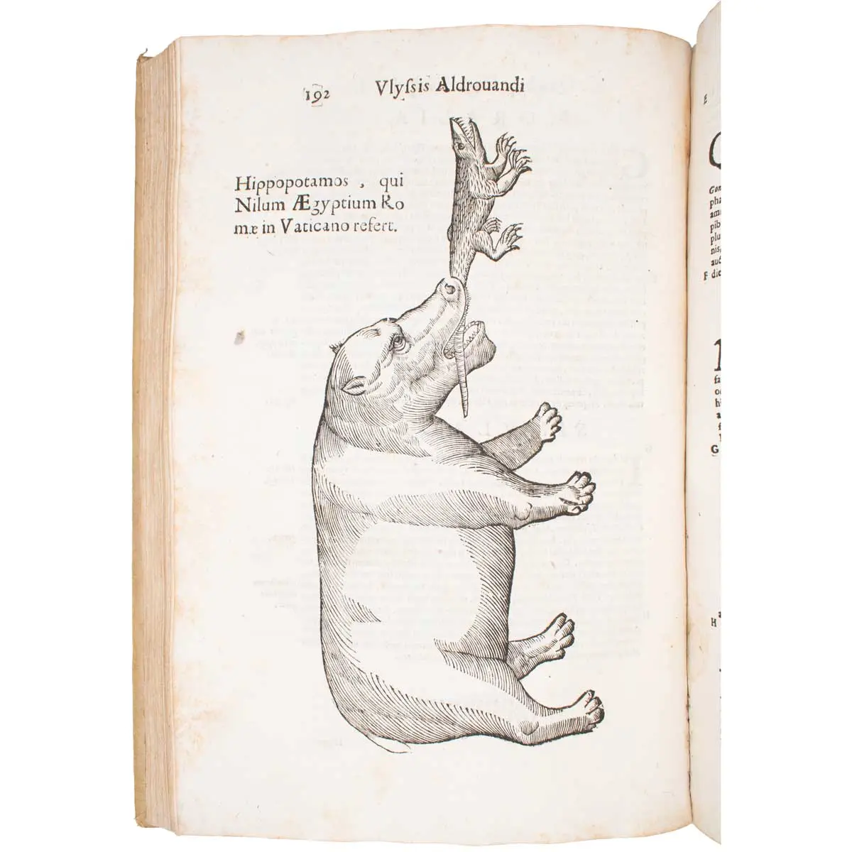 De quadrupedibus digitatis viviparis libri tres et de quadrupedibus digitatis oviparis libri duo…  (3)