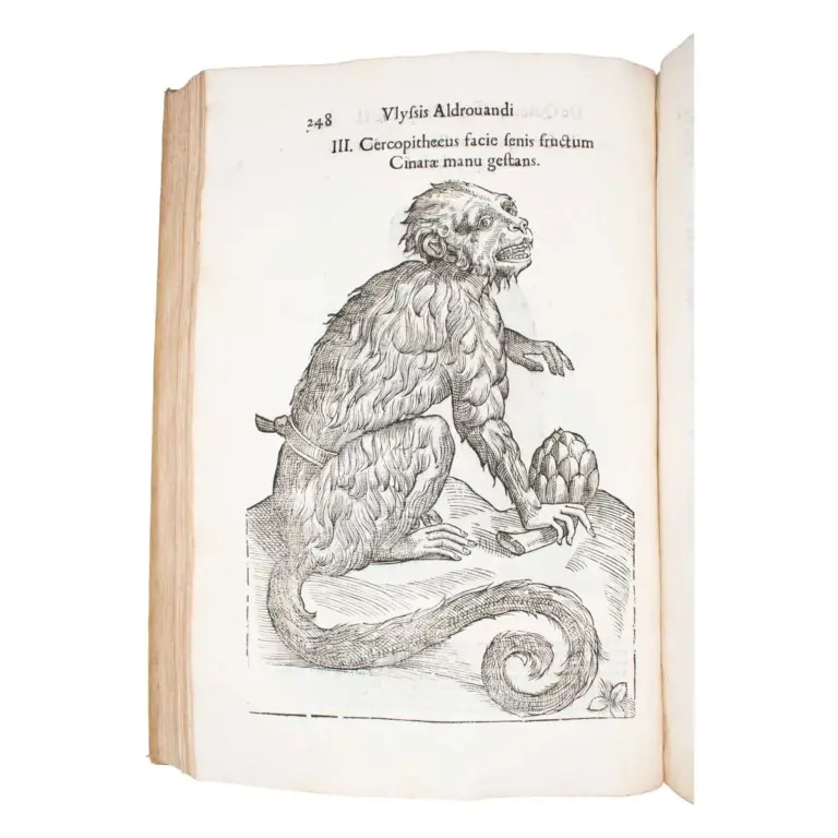 De quadrupedibus digitatis viviparis libri tres et de quadrupedibus digitatis oviparis libri duo… 