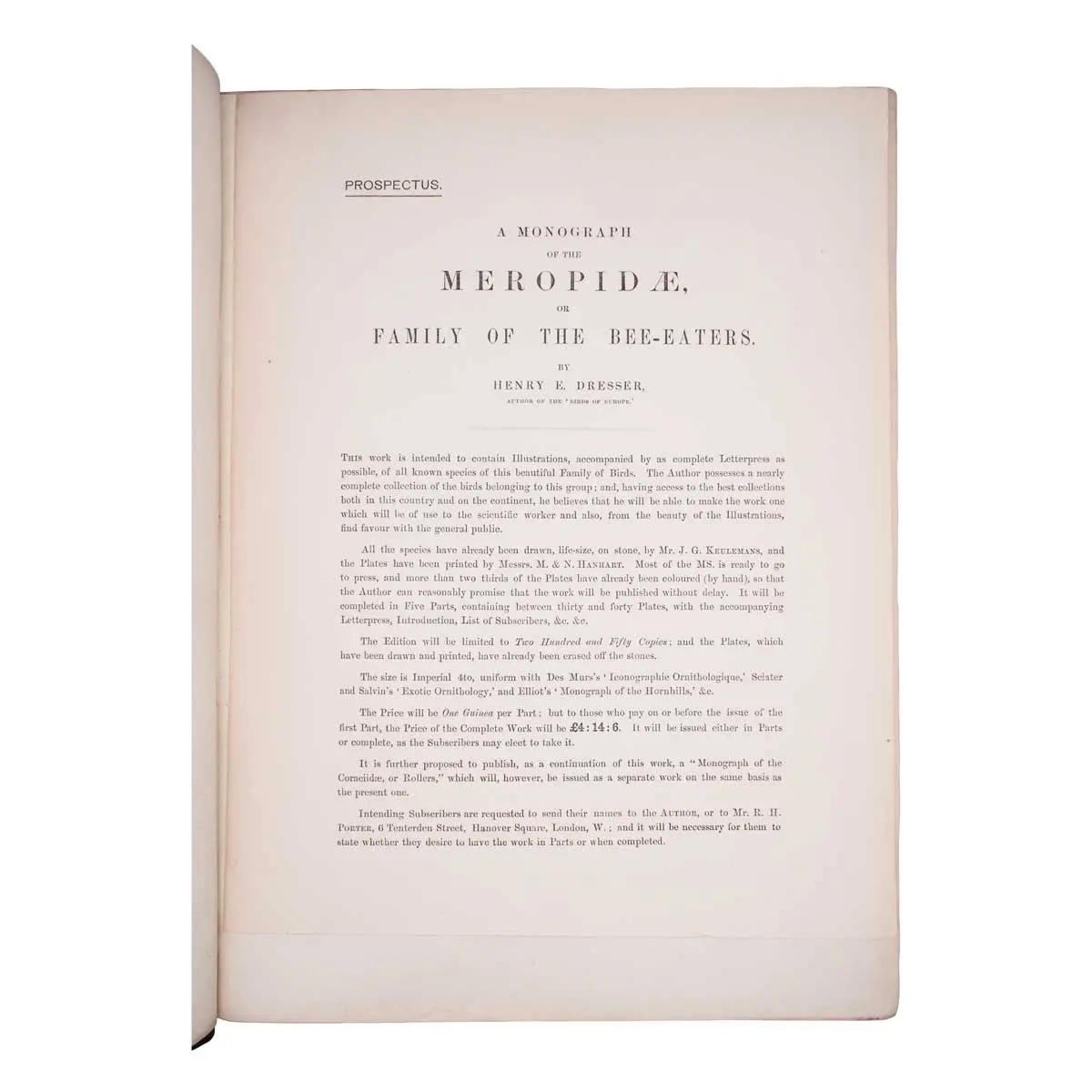 A Monograph of the Meropidae, or Family of the Bee-Eaters (3)