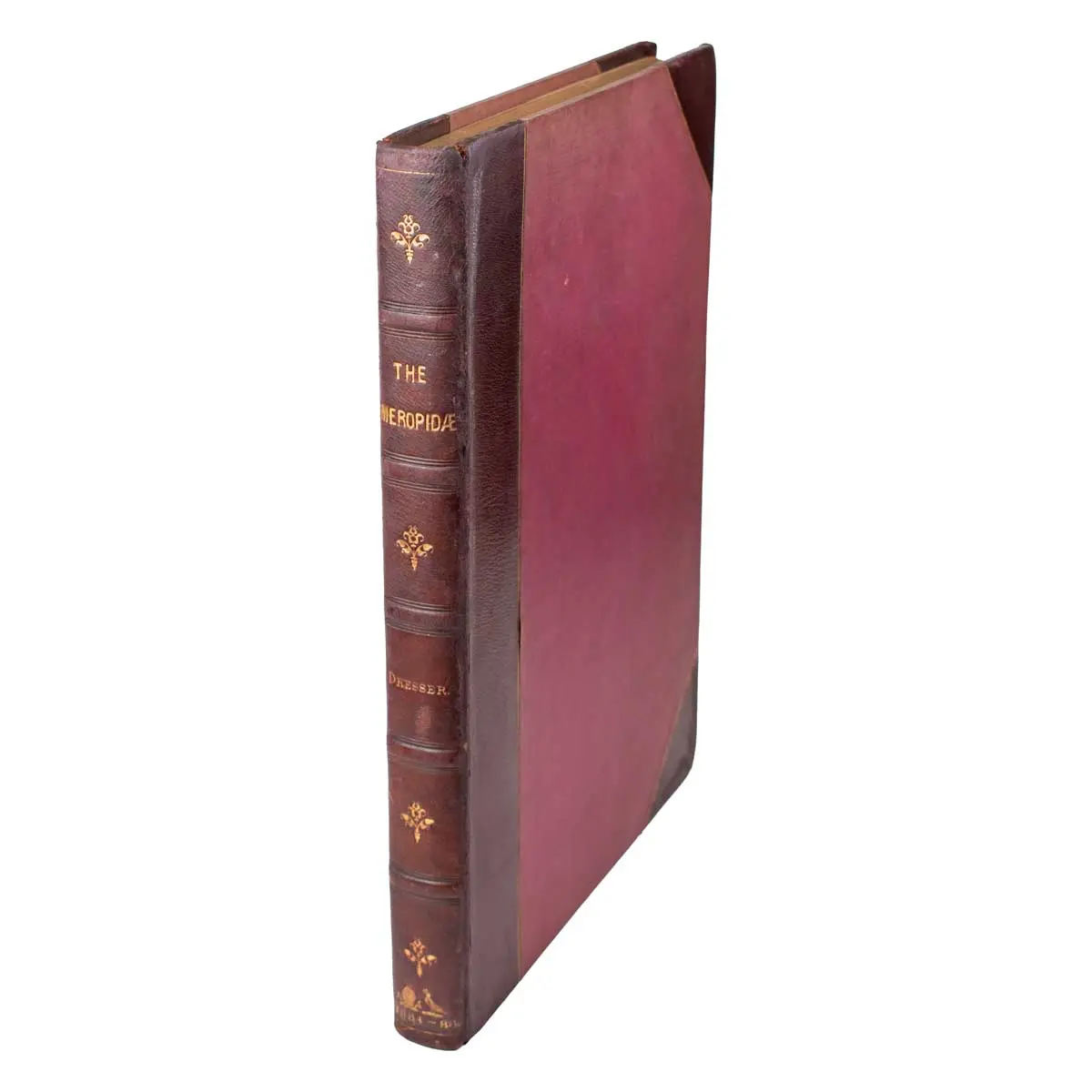 A Monograph of the Meropidae, or Family of the Bee-Eaters (5)