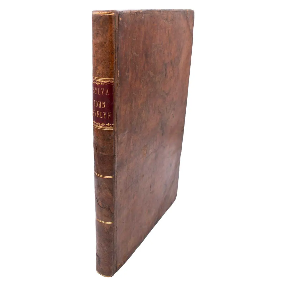 Sylva, Or A Discourse of Forest-Trees, and the Propagation of Timber in his Majesties Dominions (2)