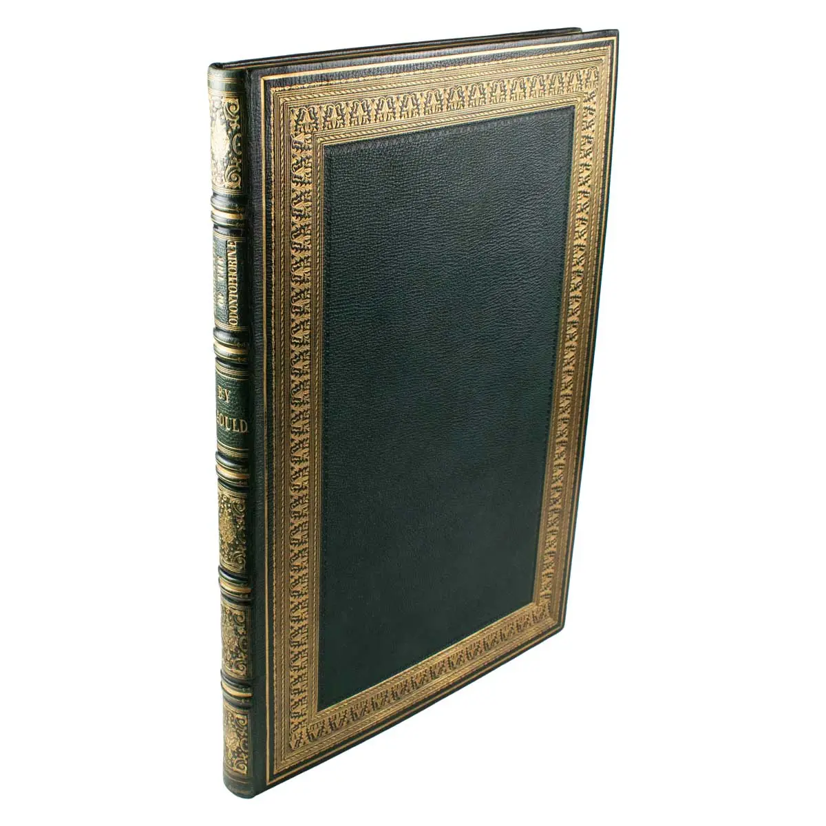A Monograph of the Odontophorinae, or Partridges of America (9)