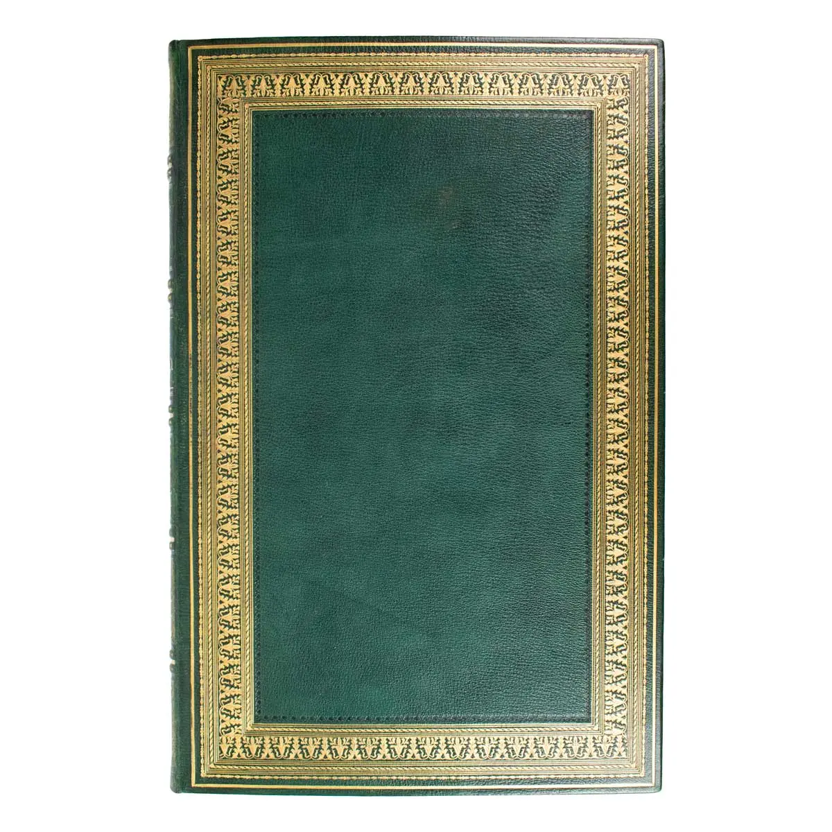 A Monograph of the Odontophorinae, or Partridges of America (8)