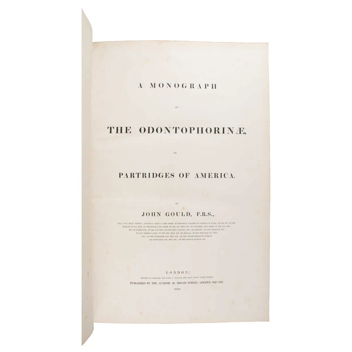 A Monograph of the Odontophorinae, or Partridges of America (4)