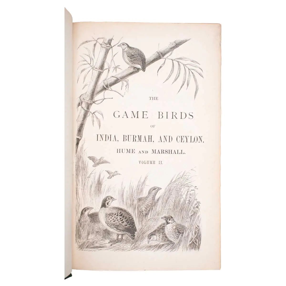 The Game Birds of India, Burmah and Ceylon (6)