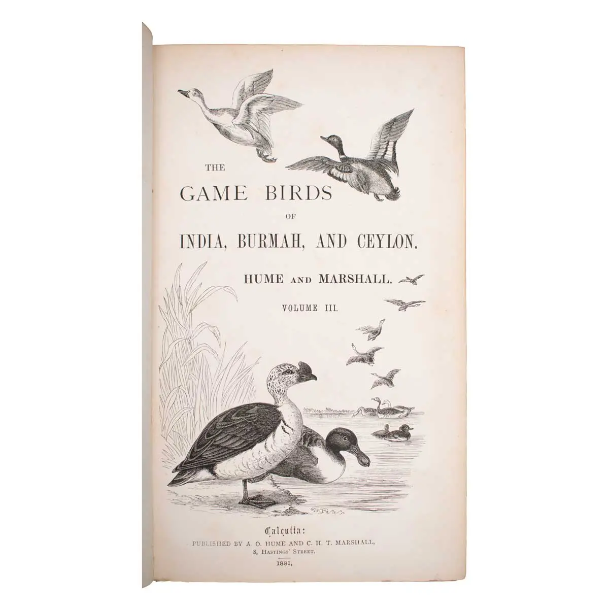 The Game Birds of India, Burmah and Ceylon (4)