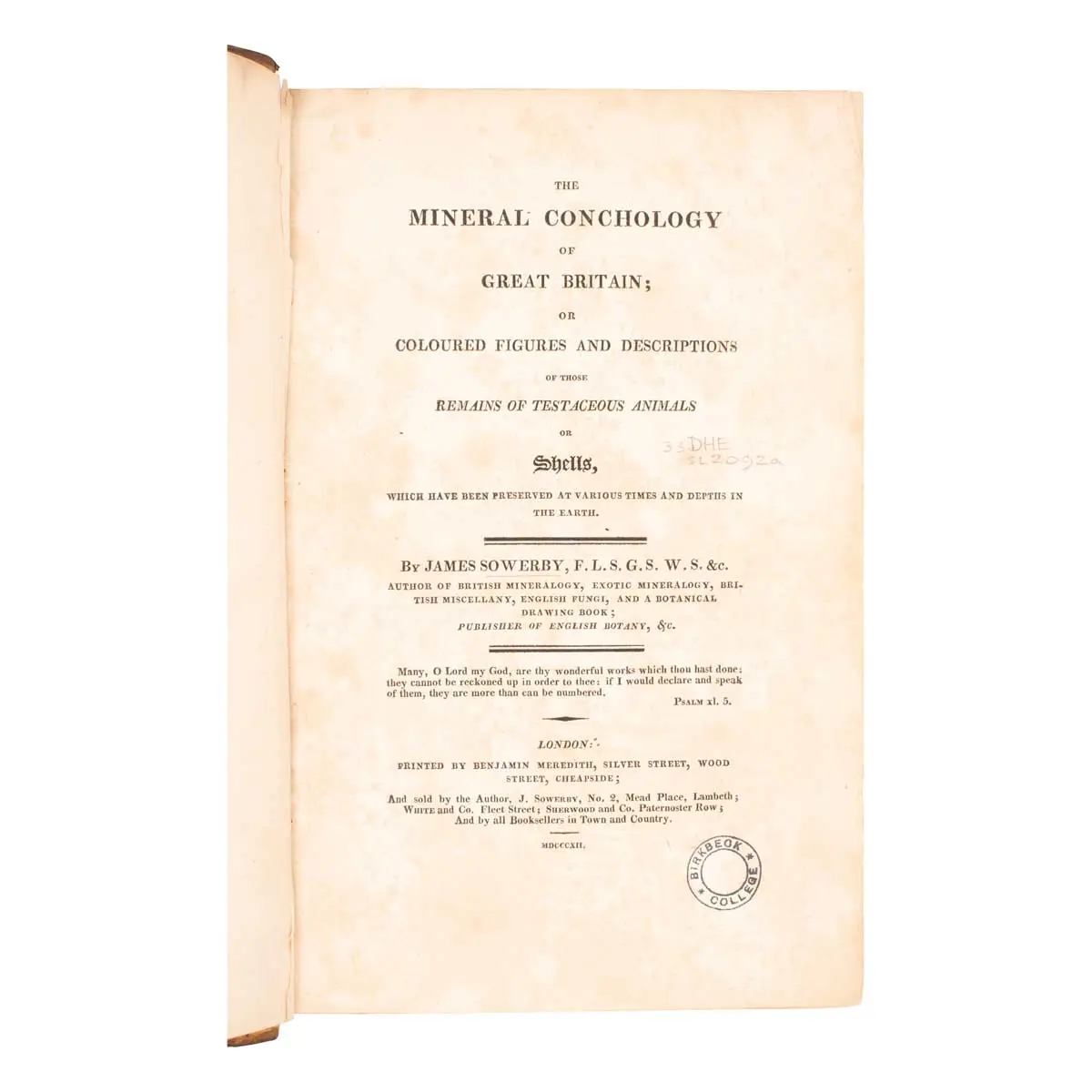 The Mineral Conchology of Great Britain, or Coloured Figures and Descriptions of those Remains of Testaceous Animals or Shells which Have Been Preserved at Various Times and Depths in the Earth (3)
