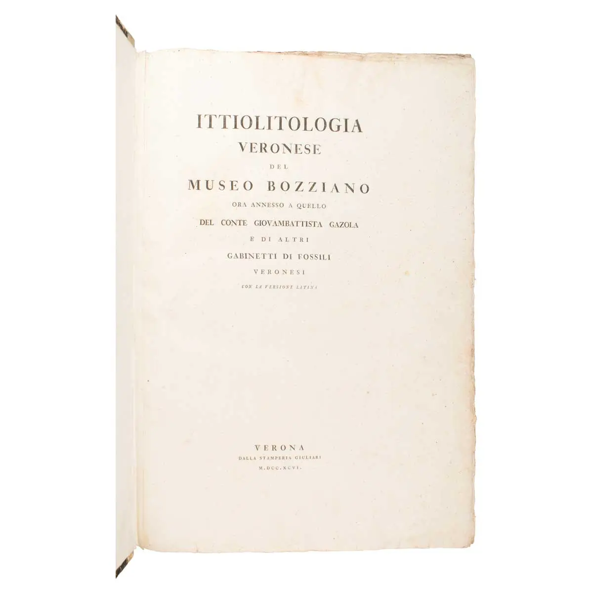 Ittiolitologia Veronese del Museo Bozziano ora annesso a quello del Conte Giovambattista Gazola e di altri gabinetti di fossili Veronesi con la versione Latina (7)
