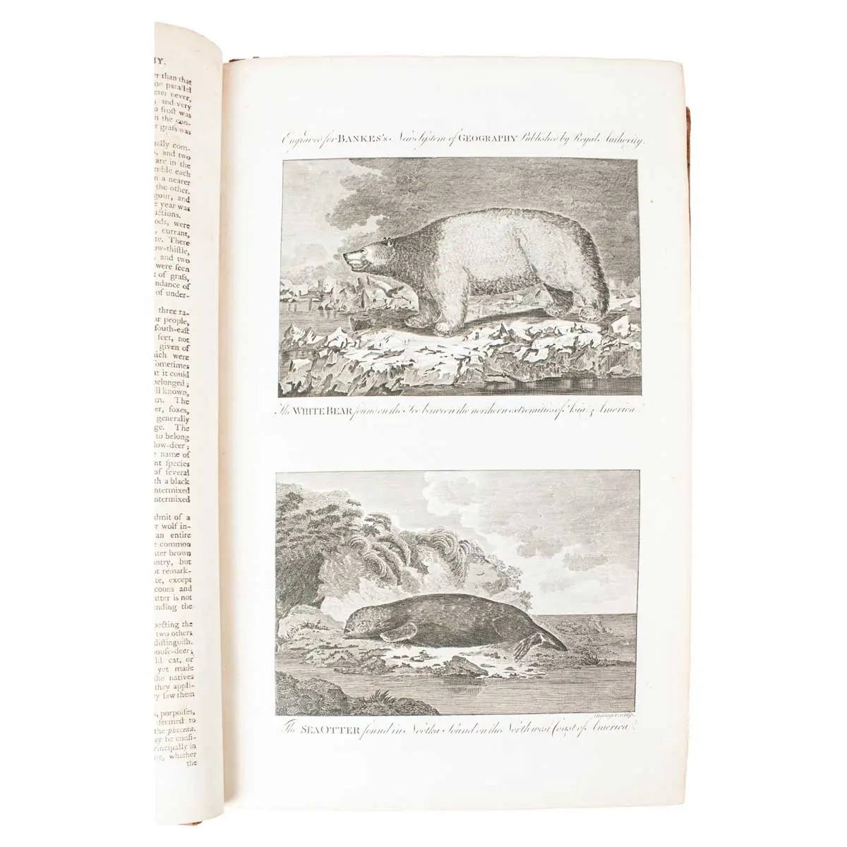 A New and Authentic System of Universal Geography, Antient and Modern: including All the late important Discoveries made by the English, and other celebrated Navigators of various Nations (3)