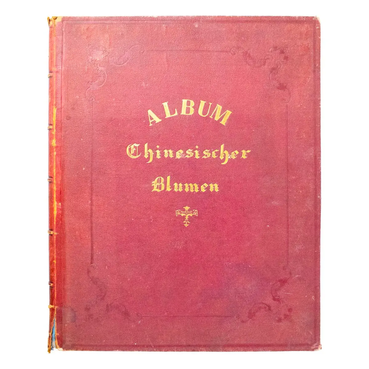 An album of Twenty-five very fine botanical studies in watercolour and bodycolour heightened with gum arabic on thin Japan paper. Titled ‘Album Chinesischer Blumen’ (2)