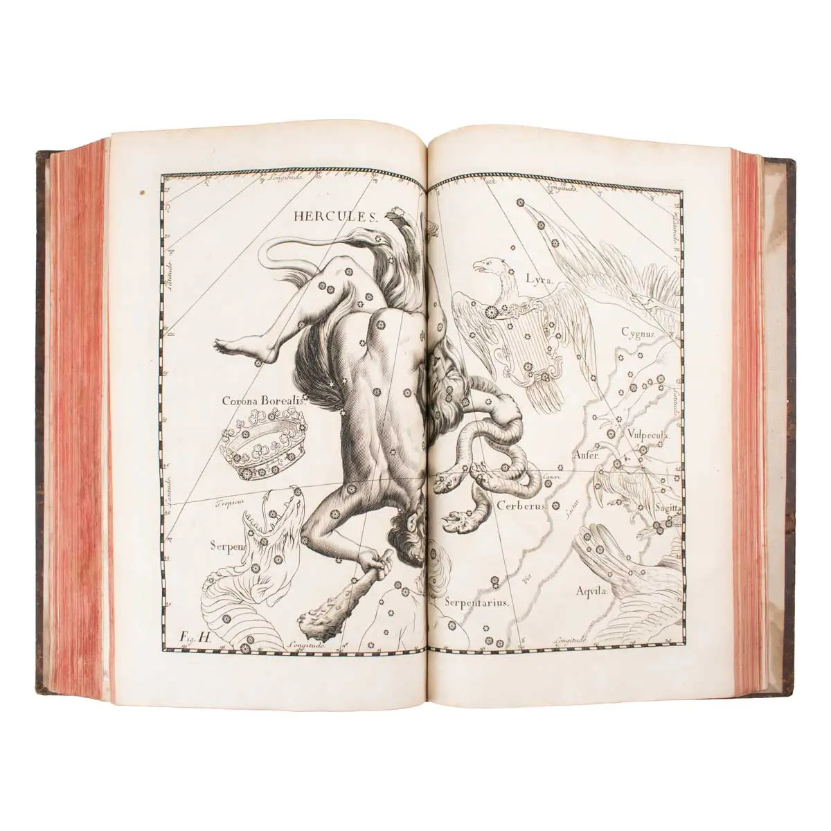 Prodromus Astronomiae, exhibens fundamenta, quae tam ad novum plane & correctiorem stellarum fixarum catalogum construendum.  (7)