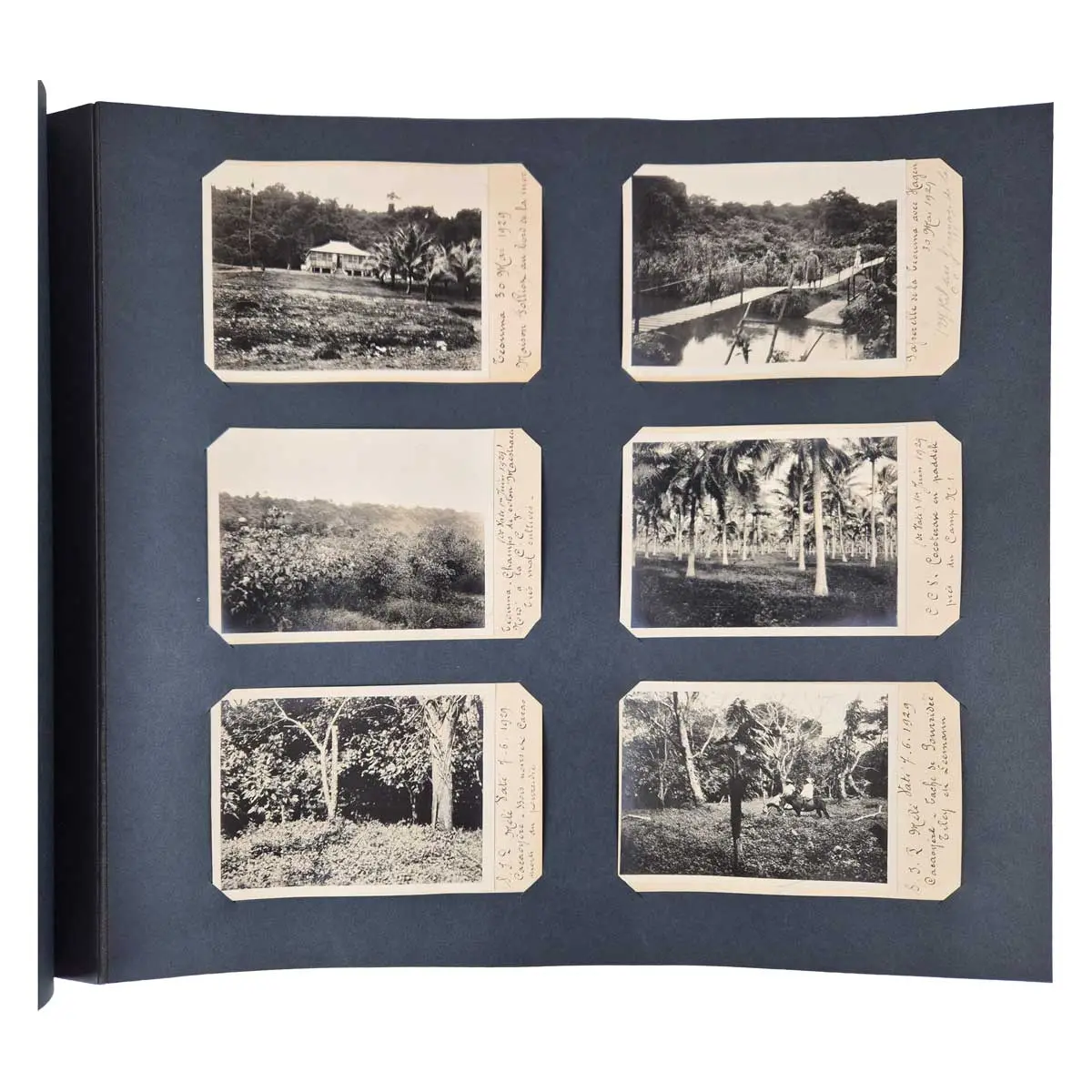 Historically Significant Collection of ca. 103 Gelatin Silver Photographs With Captions of 10 Different Islands in Vanuatu and 9 Gelatin Silver Photographs of Papua New Guinea (7)