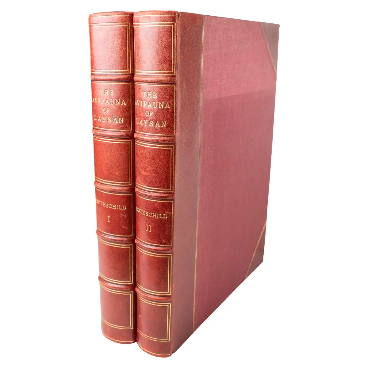 The Avifauna of Laysan and the Neighbouring Islands: with a Complete History to Date of the Birds of the Hawaiian Possessions (6)