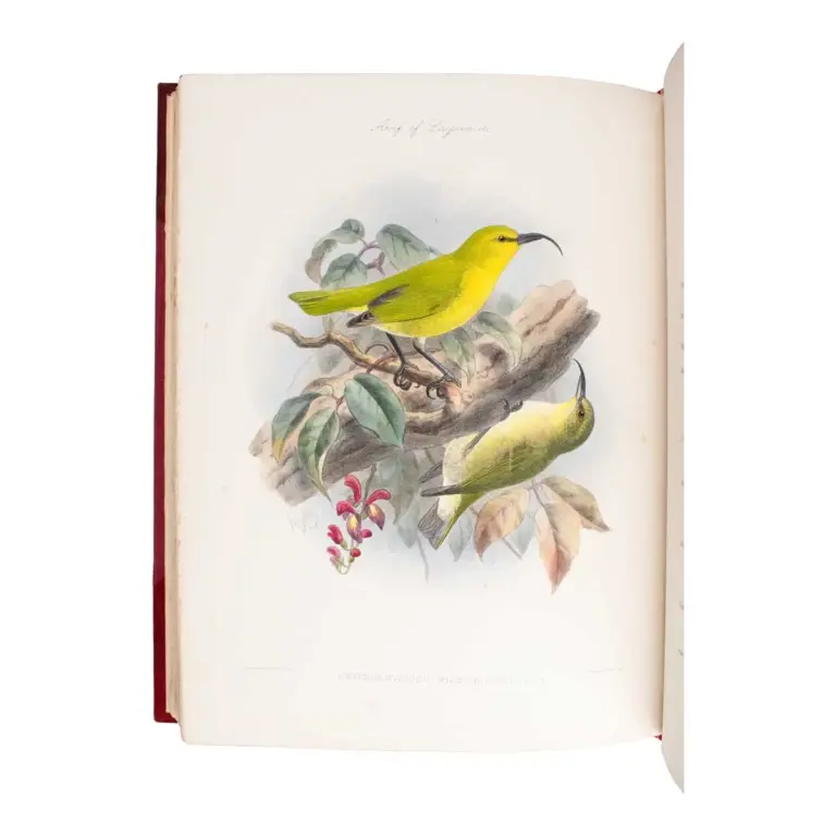 The Avifauna of Laysan and the Neighbouring Islands: with a Complete History to Date of the Birds of the Hawaiian Possessions.