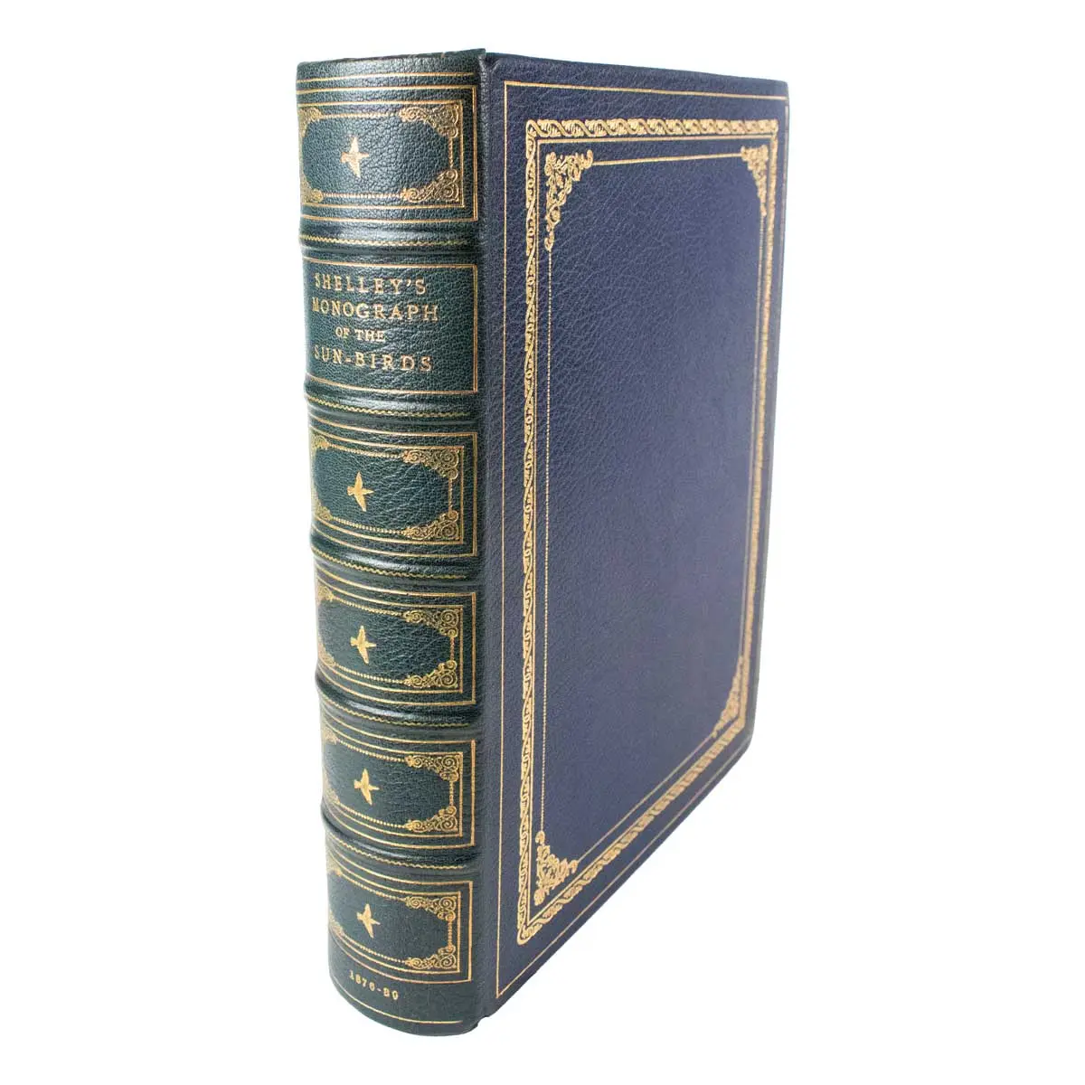 A Monograph of the Nectariniidae, or Family of Sun-Birds (9)