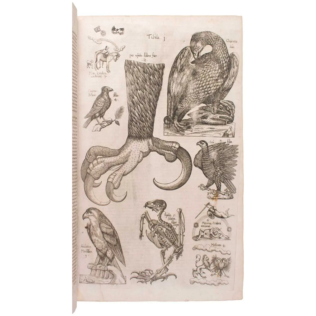 Ornithologiae. Hoc est, de avibus historiae libri XII.