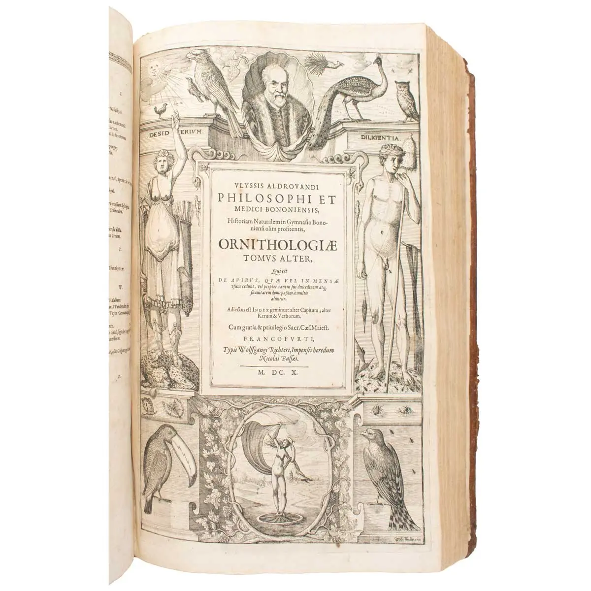 Ornithologiae. Hoc est, de avibus historiae libri XII (2)