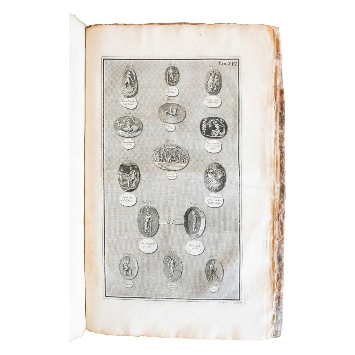 Museum Richterianum continens fossilis animalia vegeabilia mar. Accedit de gemmis scalptis antiquis.  (9)