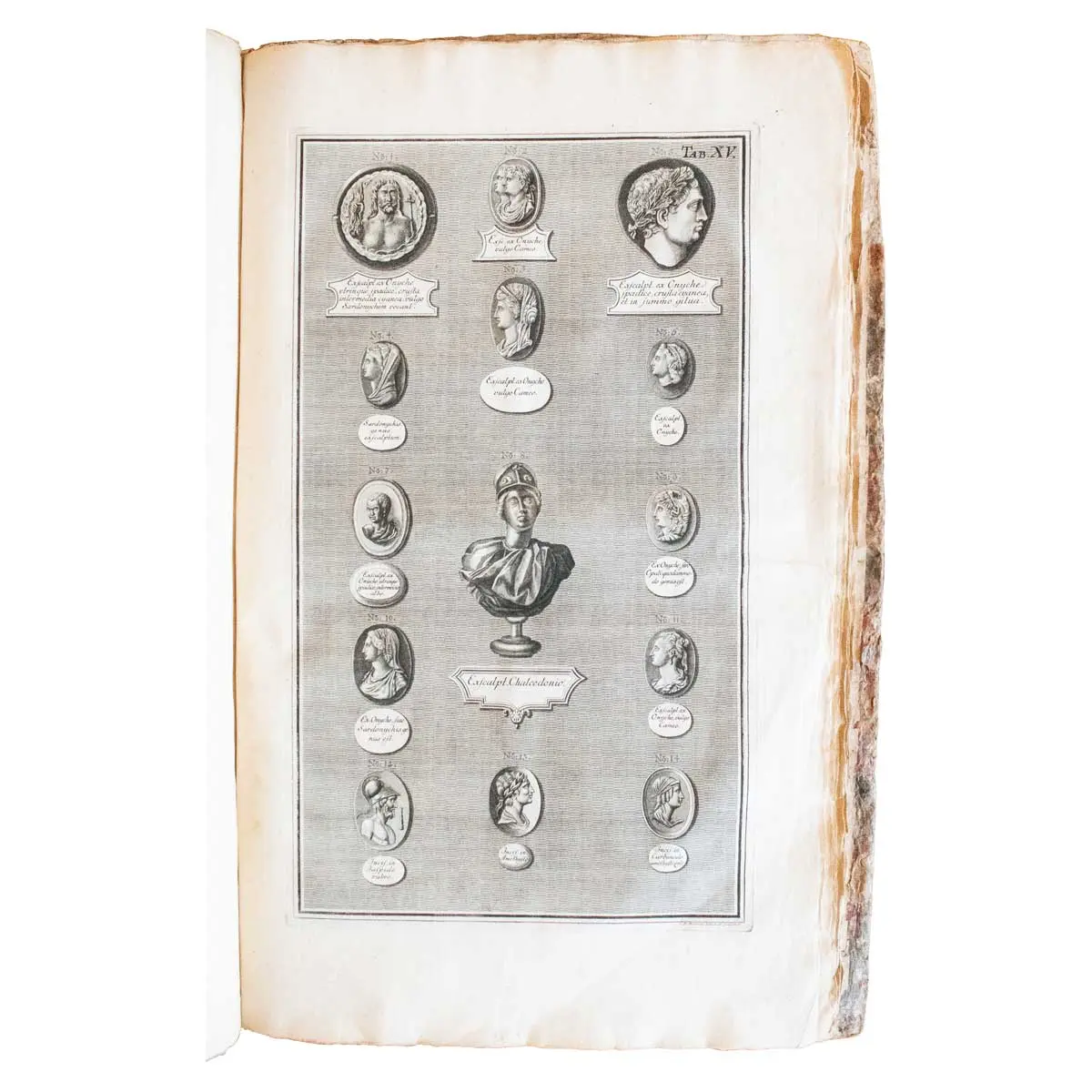 Museum Richterianum continens fossilis animalia vegeabilia mar. Accedit de gemmis scalptis antiquis.  (8)