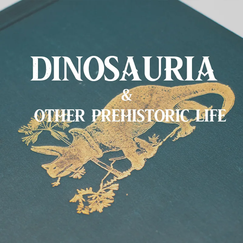 Dinosauria