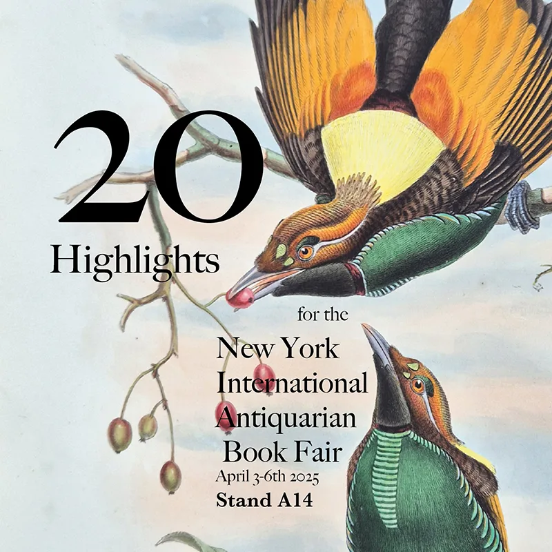 New York Highlights 2025